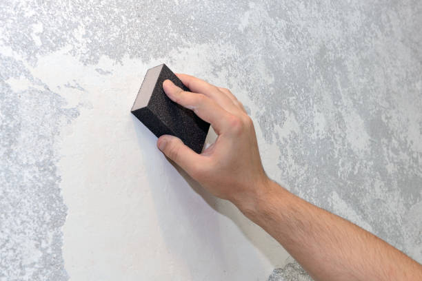 Best Comprehensive Air Testing for Mold Contaminants  in Grant, AL