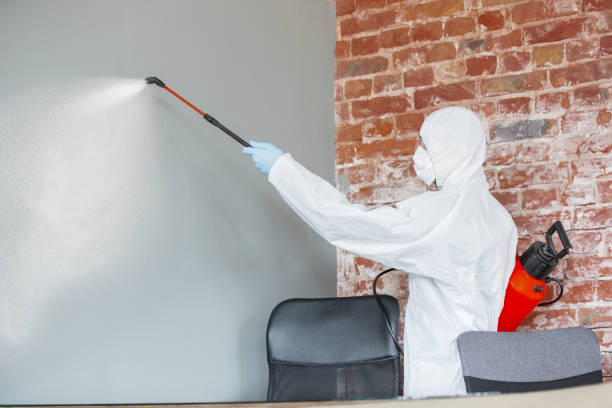 Environmental Consulting for Mold Prevention in Grant, AL