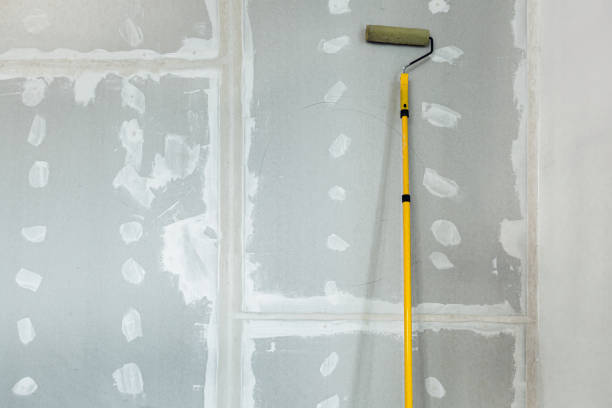 Mold Odor Removal Services