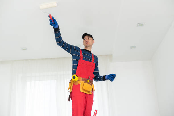 Reliable Grant, AL Mold Removal Solutions