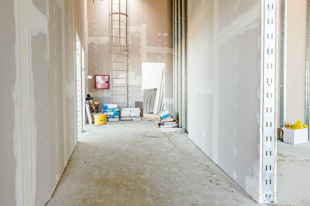 Grant, AL Mold Removal Company