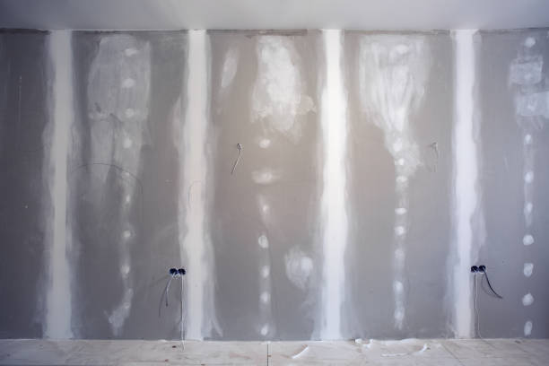 Best Mold Damage Restoration  in Grant, AL